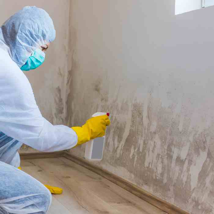 Mold Remediation