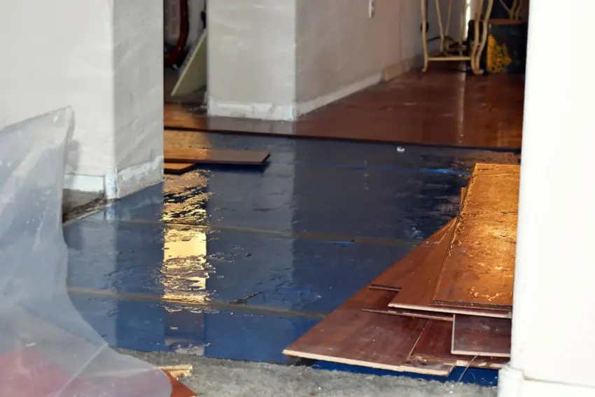 Water Damage Restoration Site