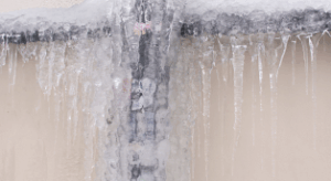 Thaw 1 - First & Last Restoration