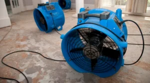 the-cost-of-flood-damage-restoration-in-baltimore_11zon - First & Last Restoration