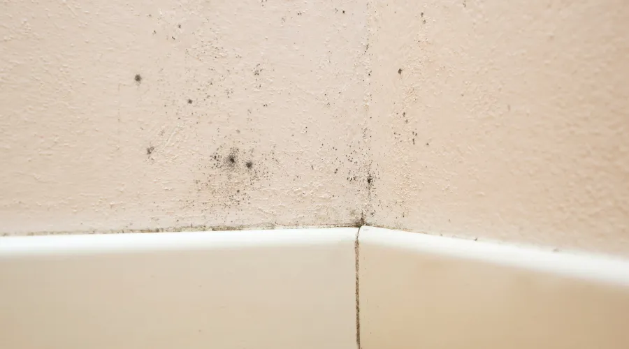 how-much-does-mold-remediation-cost-in-baltimore_11zon - First & Last Restoration Beige bathroom wall corner with black mold spots and mildew along the grout above a bathtub edge.