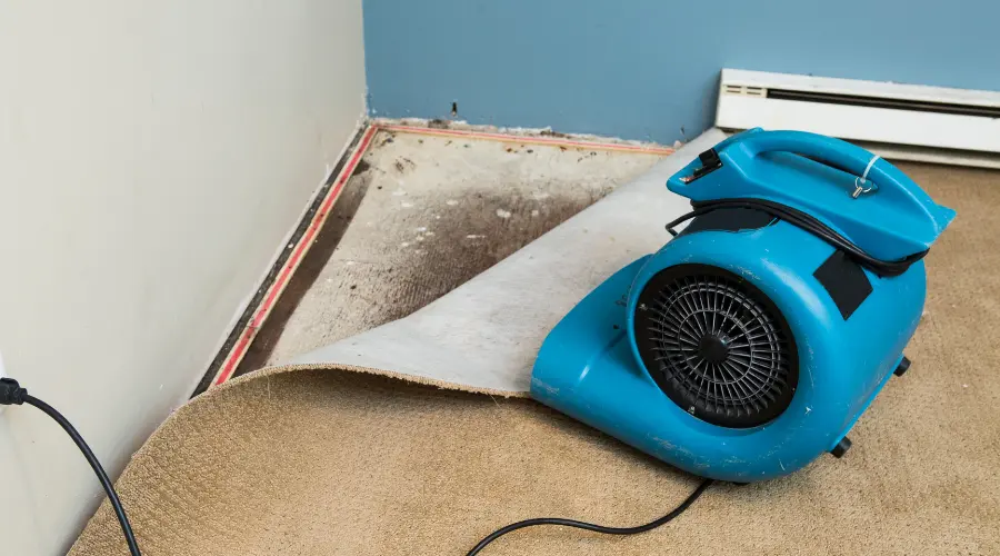 what-is-the-difference-between-water-mitigation-and-water-restoration - First & Last Restoration Blue portable carpet dryer sits on beige carpet in a room under renovation, near a baseboard heater and exposed floor edge.