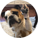 Donna May profile picture