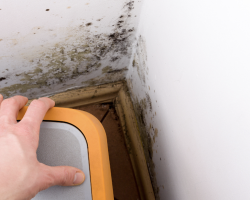 10-warning-signs-of-mold-toxicity-two